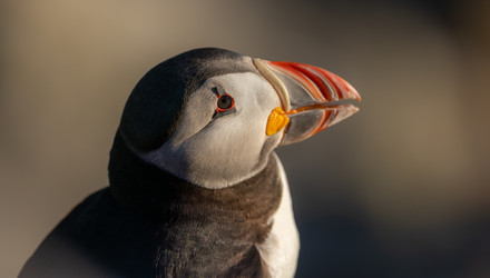 Similar image 22237054