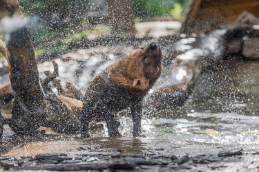 Similar image 22237056