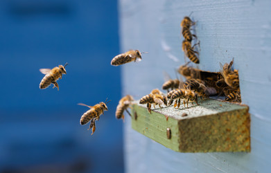 Similar image 22237058