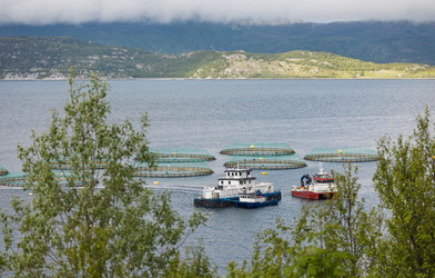 Similar image 22237059