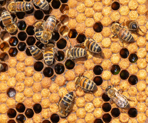 Similar image 22237060