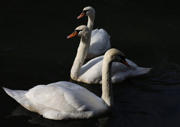 Similar image 22237076