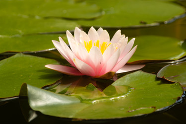 Similar image 22237078