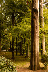 Similar image 22237079