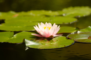 Similar image 22237080