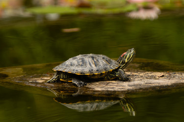 Similar image 22237081