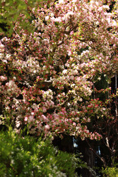 Similar image 22237083