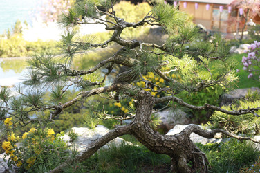 Similar image 22237084