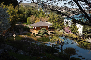 Similar image 22237086