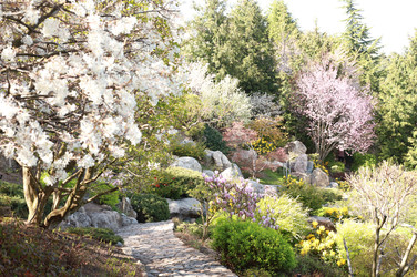 Similar image 22237087