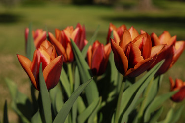 Similar image 22237094