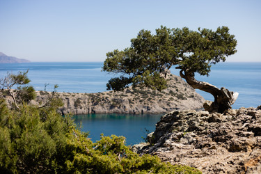 Similar image 22237100