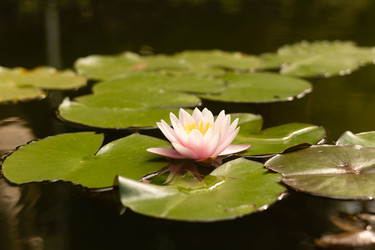 Similar image 22237103