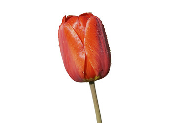 Similar image 22236516