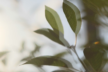 Similar image 22237204