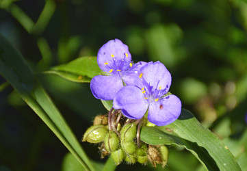 Similar image 22244611