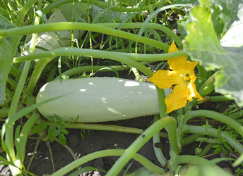 Similar image 22244614