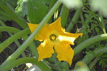 Similar image 22244615