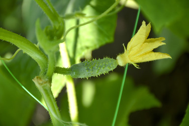 Similar image 22244618