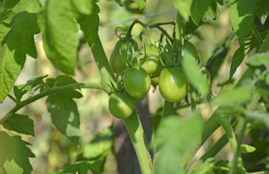 Similar image 22244619