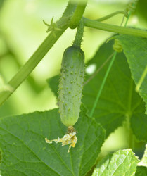 Similar image 22244620