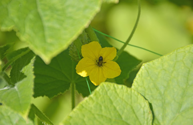 Similar image 22244621