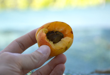 Similar image 22244622