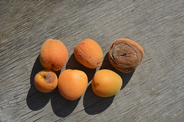 Similar image 22244623