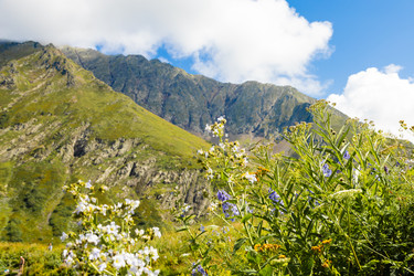 Similar image 22237106