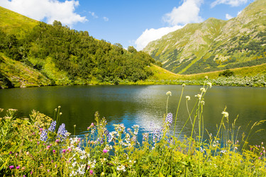 Similar image 22237107