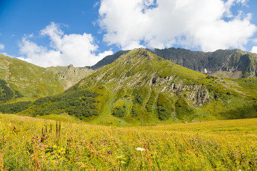 Similar image 22237109