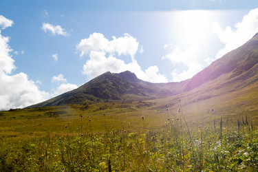 Similar image 22237110