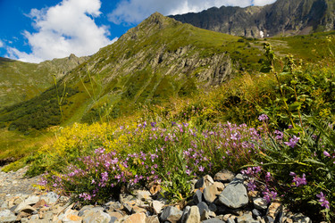 Similar image 22237111