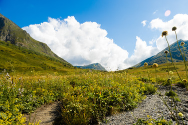 Similar image 22237112