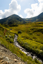 Similar image 22237114