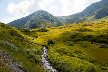 Similar image 22237115