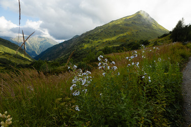 Similar image 22237116