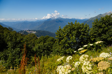 Similar image 22237117