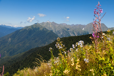 Similar image 22237119