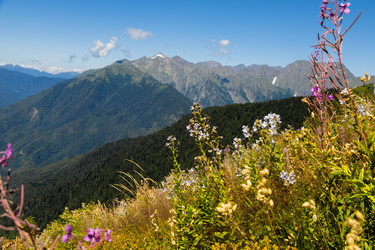 Similar image 22237120