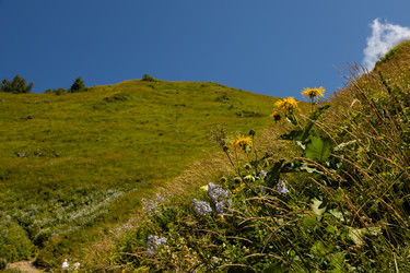 Similar image 22237122