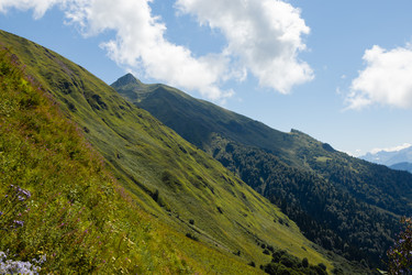 Similar image 22237123