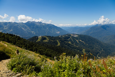 Similar image 22237124