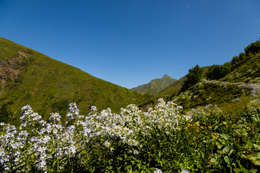 Similar image 22237125