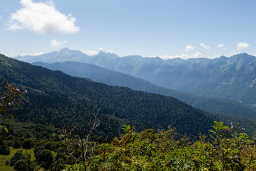 Similar image 22237126