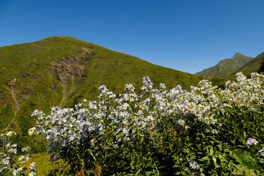 Similar image 22237127