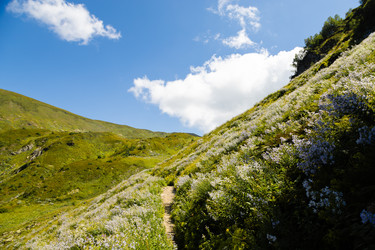 Similar image 22237132