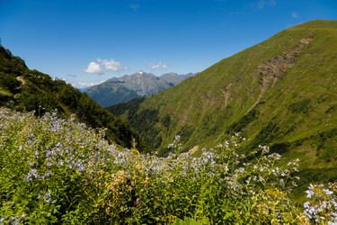 Similar image 22237133