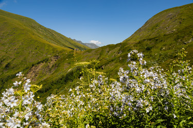 Similar image 22237134