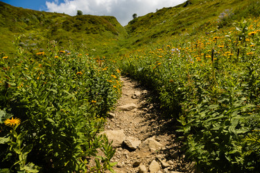 Similar image 22237135